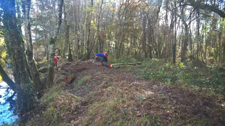 Reforestación cuenca Miño-Sil Red Natura 2000 - Confed.Hidrográfica - Lugo