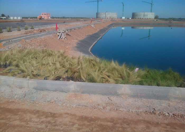 Plantaciones balsas de decantación 1ª EDAR Kelâa des Sraghna - ONEE MAROC