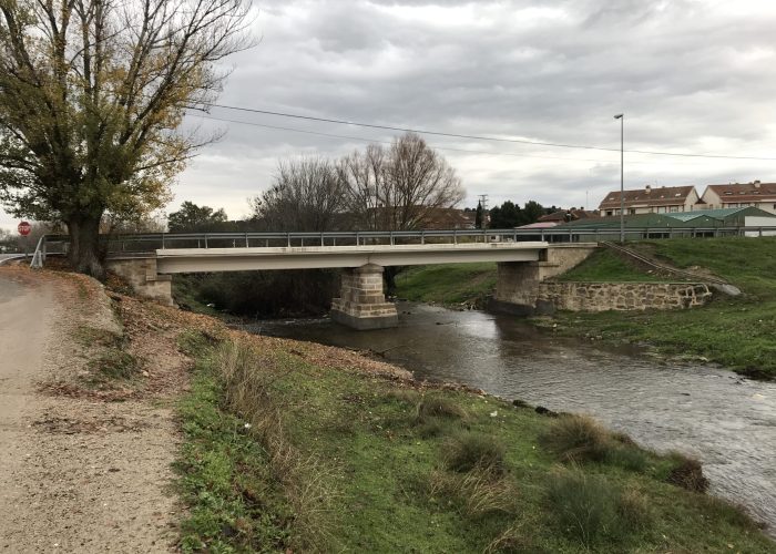 Recalce pilas y estribos Puente de Guadalix - CAM Tptes - Madrid_1