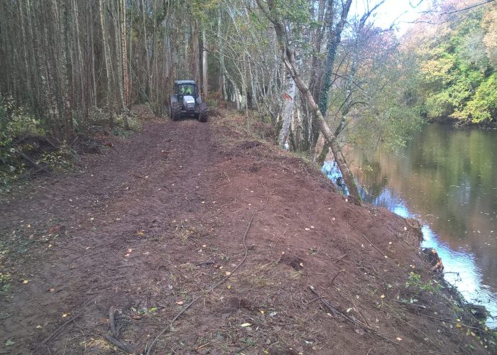 Reforestación cuenca Miño-Sil RN2000